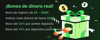 Menang Besar di to388login.com